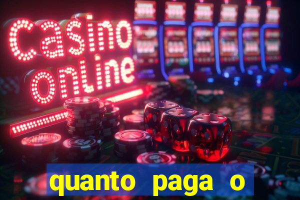 quanto paga o jungle fight