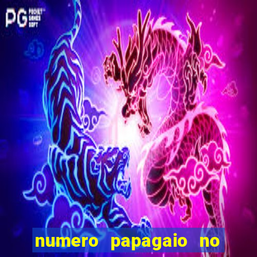 numero papagaio no jogo do bicho