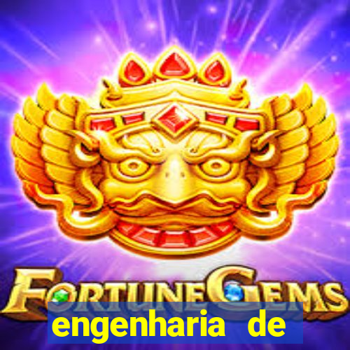 engenharia de software ead vale a pena