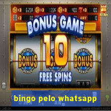 bingo pelo whatsapp