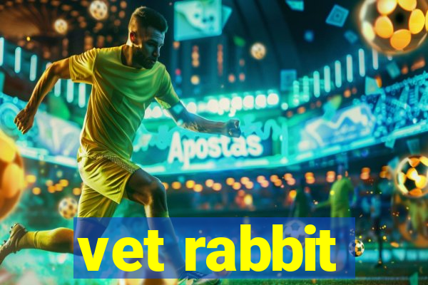 vet rabbit