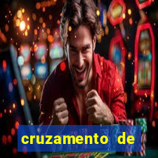 cruzamento de cavalo com jumenta globo rural