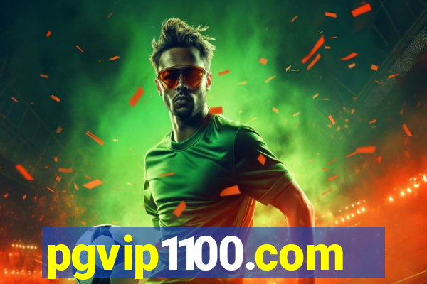 pgvip1100.com
