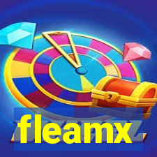 fleamx