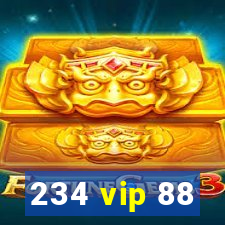 234 vip 88