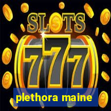 plethora maine