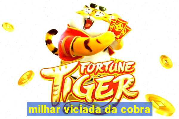milhar viciada da cobra