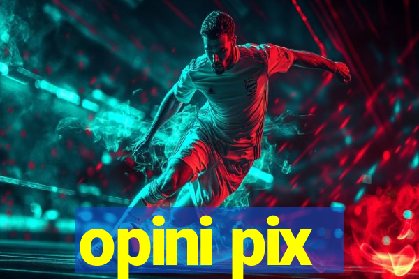 opini pix