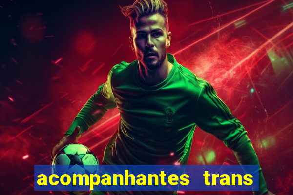 acompanhantes trans porto seguro
