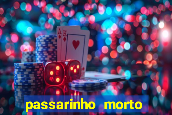 passarinho morto significado espiritual