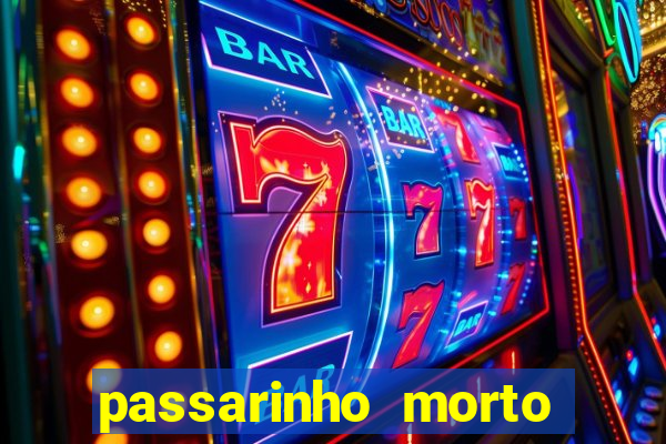 passarinho morto significado espiritual