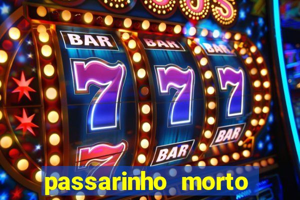 passarinho morto significado espiritual