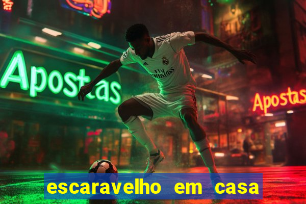 escaravelho em casa significado espiritual