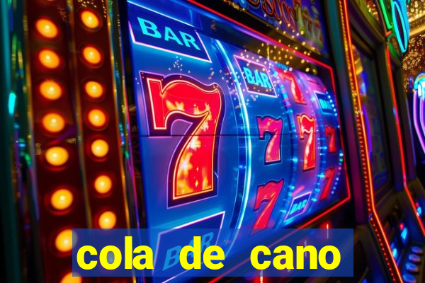 cola de cano quanto tempo para secar