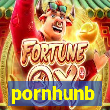 pornhunb