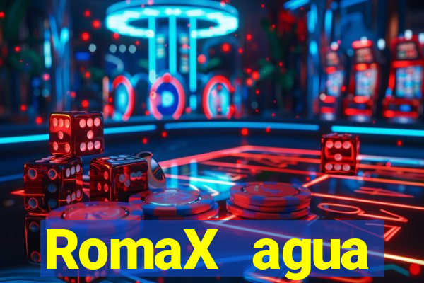 RomaX agua sanitaria fispq agua sanitaria romax