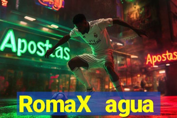 RomaX agua sanitaria fispq agua sanitaria romax