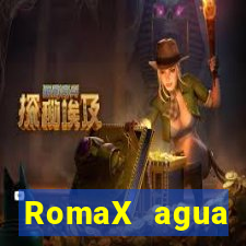 RomaX agua sanitaria fispq agua sanitaria romax