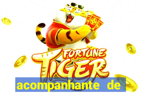 acompanhante de porto feliz