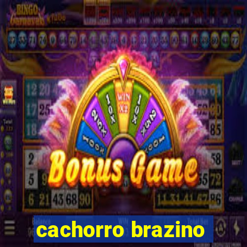 cachorro brazino
