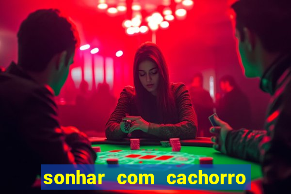 sonhar com cachorro sem cabeca