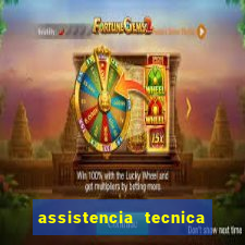 assistencia tecnica gringer porto alegre