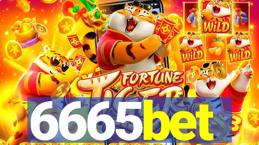 6665bet