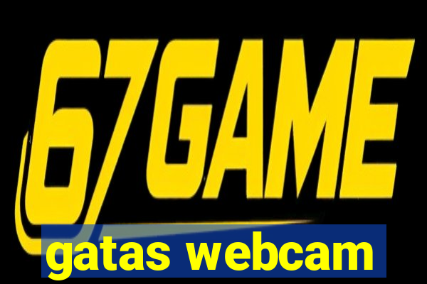 gatas webcam