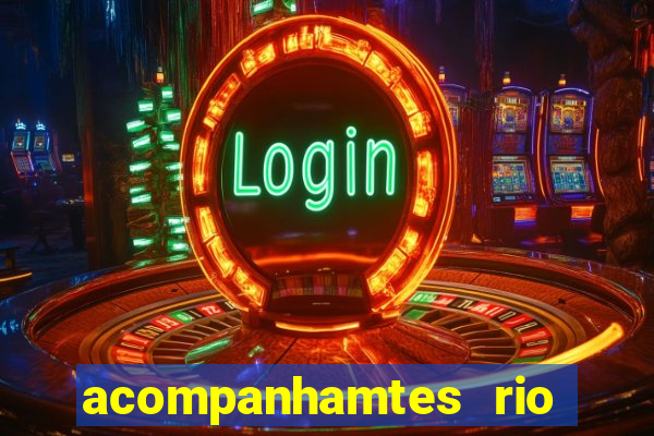 acompanhamtes rio de janeiro