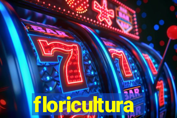 floricultura juazeiro bahia