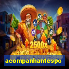 acompanhantesportovelho