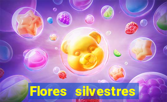 Flores silvestres brasileiras brasileiras flores silvestres nomes e imagens