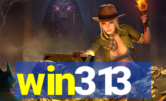 win313