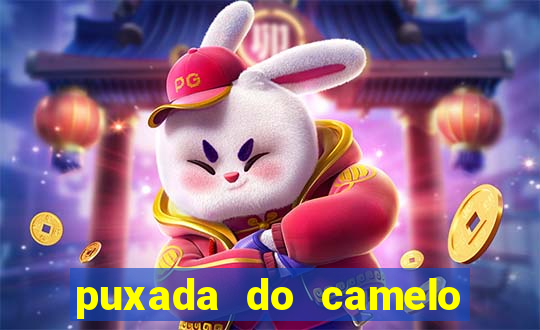 puxada do camelo no jogo do bicho
