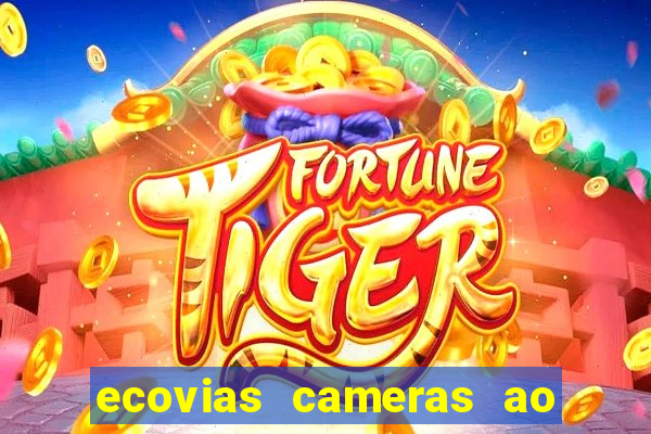 ecovias cameras ao vivo santos