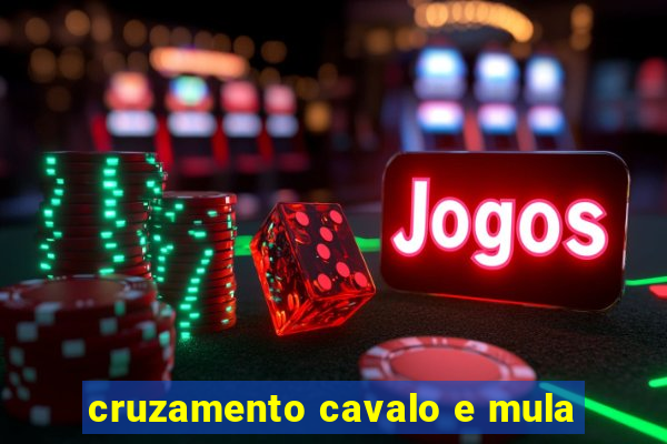 cruzamento cavalo e mula