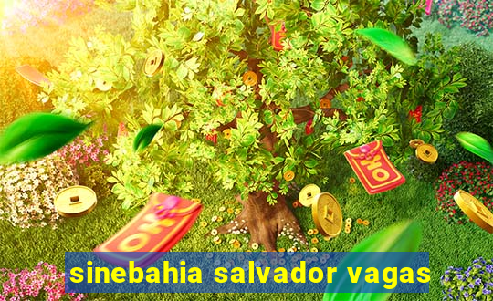 sinebahia salvador vagas