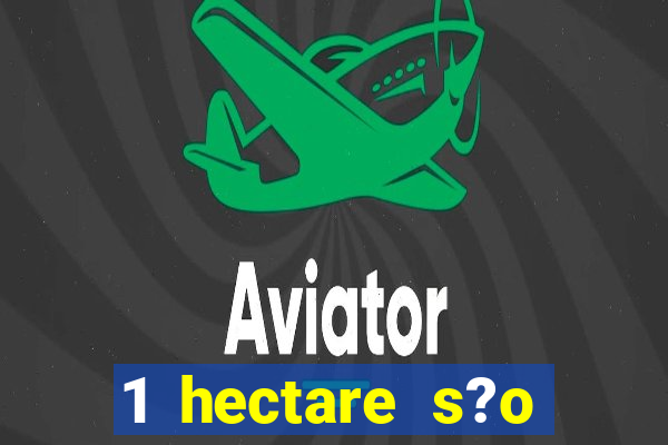 1 hectare s?o quantas tarefas na bahia