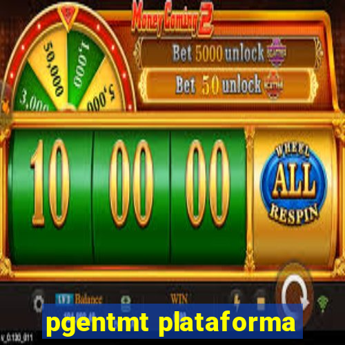 pgentmt plataforma
