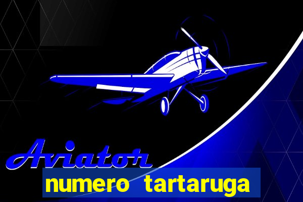 numero tartaruga jogo do bicho