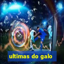 ultimas do galo