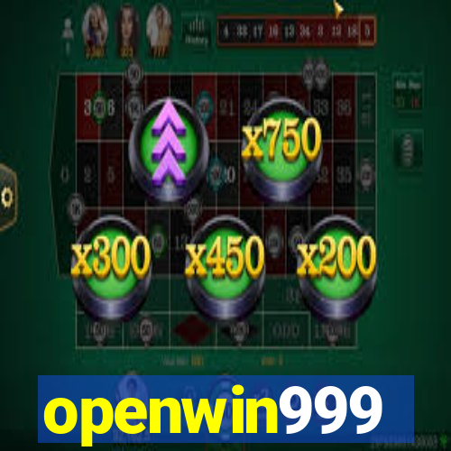 openwin999