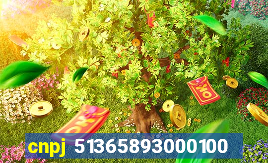 cnpj 51365893000100