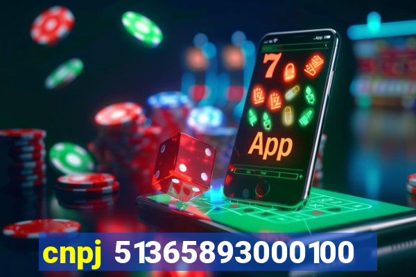 cnpj 51365893000100