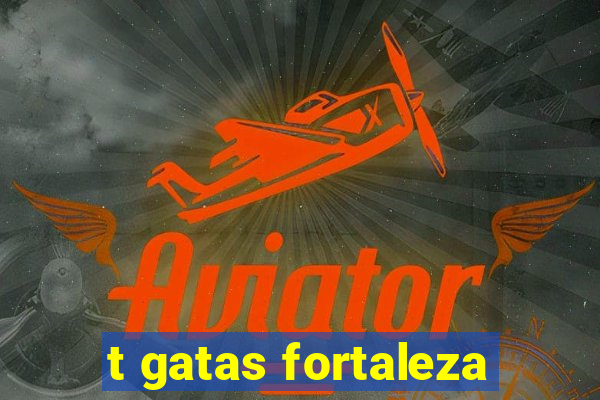 t gatas fortaleza