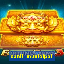 canil municipal porto alegre
