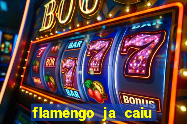 flamengo ja caiu para serie b