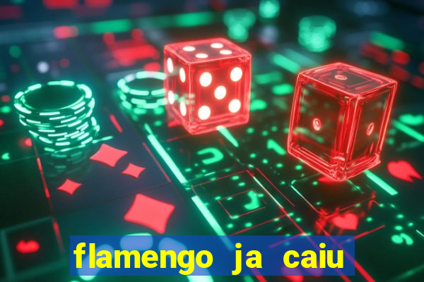 flamengo ja caiu para serie b
