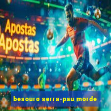 besouro serra-pau morde