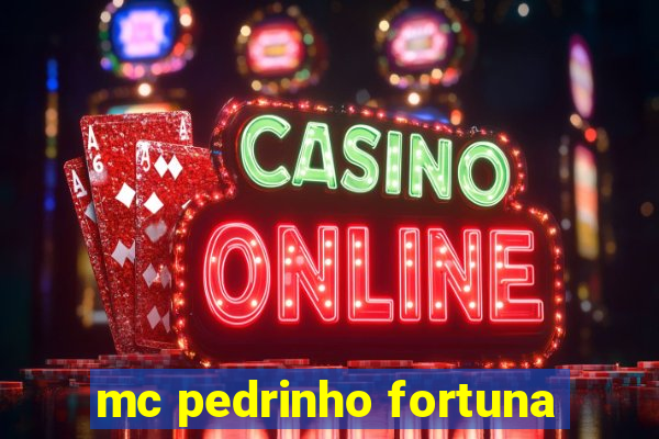 mc pedrinho fortuna